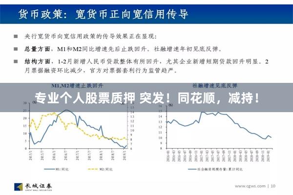 专业个人股票质押 突发！同花顺，减持！